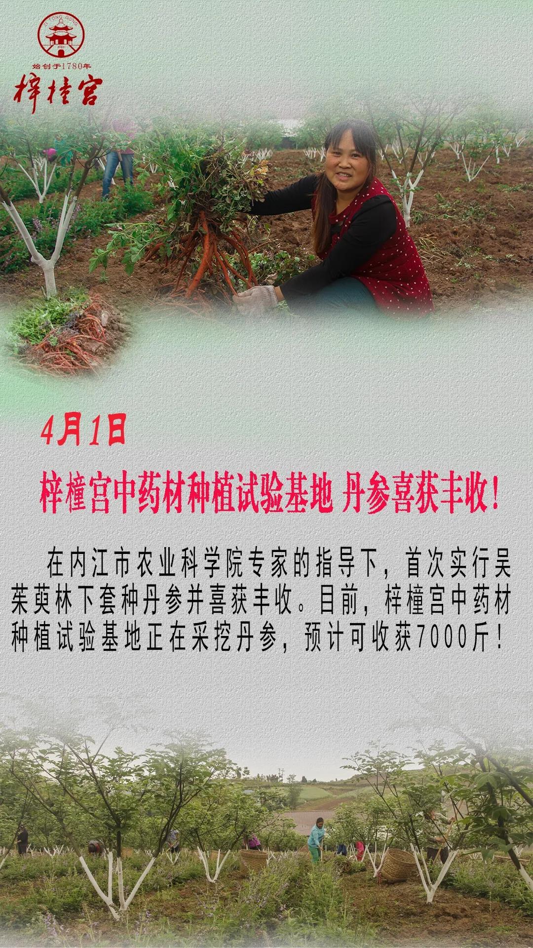 微信图片_20200408091626.jpg
